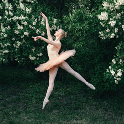 Dance Teacher Wallsend The Best Flowers to Gift to Ballerinas Blog Image