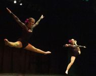 Dance-School-North-Shields-Playhouse-Show-Feb-2020-Image-5