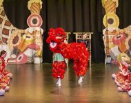 Dance-School-North-Shields-Playhouse-Show-Feb-2020-Image-23