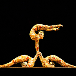 Dance School North Shields Why We Love Cirque du Soleil Blog Image