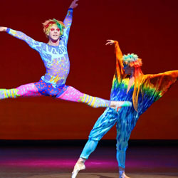 ballet school newcastle Fashion Designers Who Create for Ballet blog image