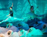 Dance-School-North-Shields-Playhouse-Show-Feb-2020-Image-1
